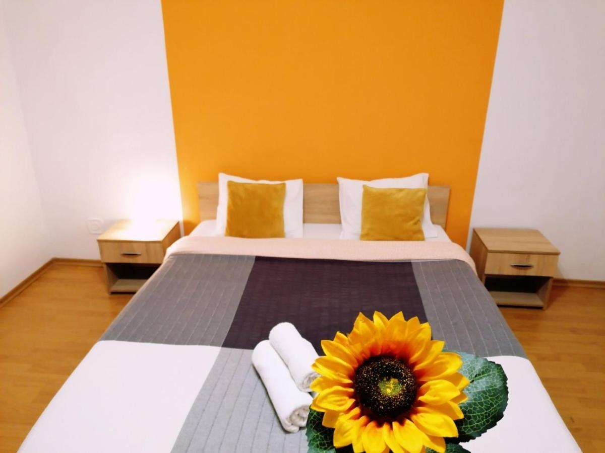 Nexus Apartment Миеркуря Чук Екстериор снимка